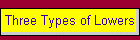 Three Types of Lowers