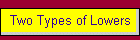 Two Types of Lowers